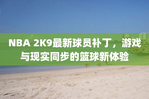 NBA 2K9最新球員補丁，游戲與現(xiàn)實同步的籃球新體驗