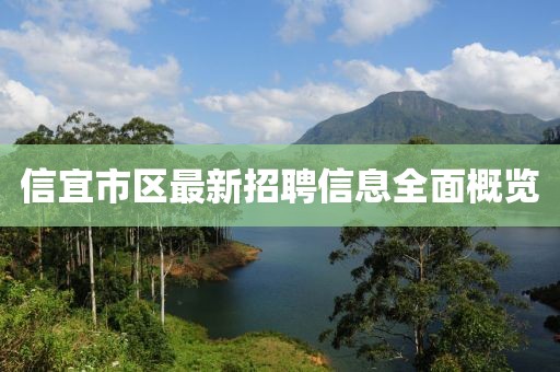 信宜市區(qū)最新招聘信息全面概覽