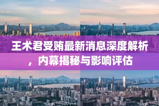 王術(shù)君受賄最新消息深度解析，內(nèi)幕揭秘與影響評(píng)估