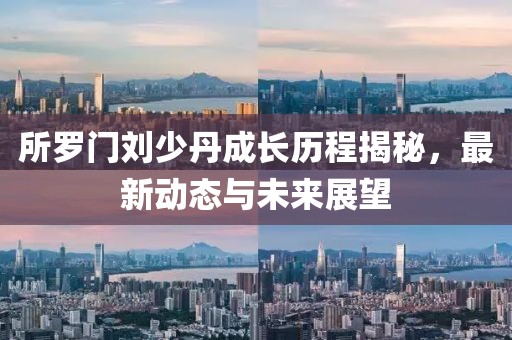 所羅門劉少丹成長歷程揭秘，最新動態(tài)與未來展望