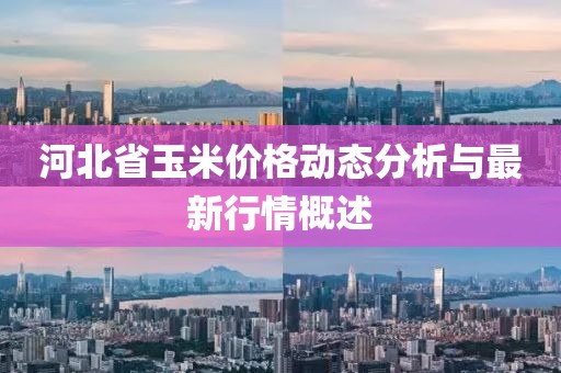 河北省玉米價格動態(tài)分析與最新行情概述