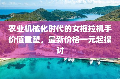 農(nóng)業(yè)機械化時代的女拖拉機手價值重塑，最新價格一元起探討