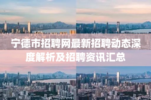 寧德市招聘網(wǎng)最新招聘動態(tài)深度解析及招聘資訊匯總
