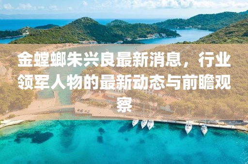 金螳螂朱興良最新消息，行業(yè)領(lǐng)軍人物的最新動態(tài)與前瞻觀察