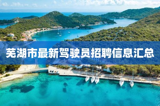蕪湖市最新駕駛員招聘信息匯總