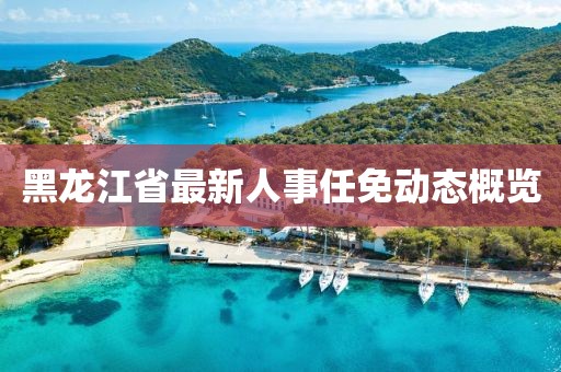 黑龍江省最新人事任免動態(tài)概覽