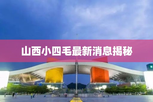 山西小四毛最新消息揭秘