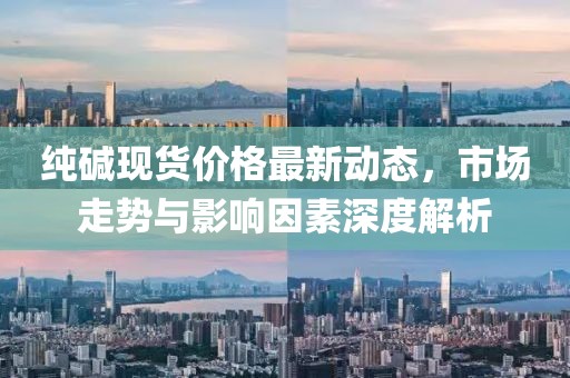 純堿現(xiàn)貨價格最新動態(tài)，市場走勢與影響因素深度解析