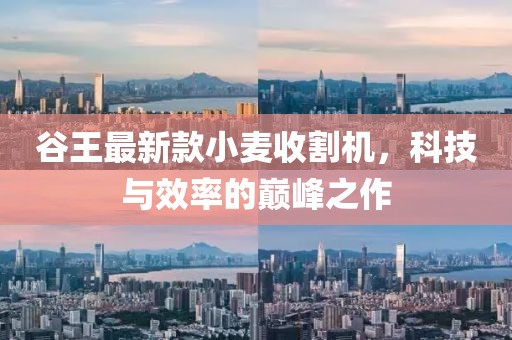 谷王最新款小麥?zhǔn)崭顧C(jī)，科技與效率的巔峰之作