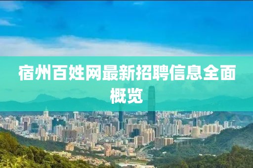 宿州百姓網(wǎng)最新招聘信息全面概覽