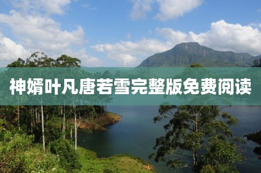 神婿葉凡唐若雪完整版免費(fèi)閱讀