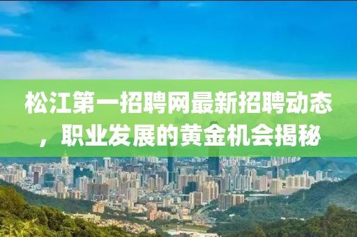 松江第一招聘網最新招聘動態(tài)，職業(yè)發(fā)展的黃金機會揭秘