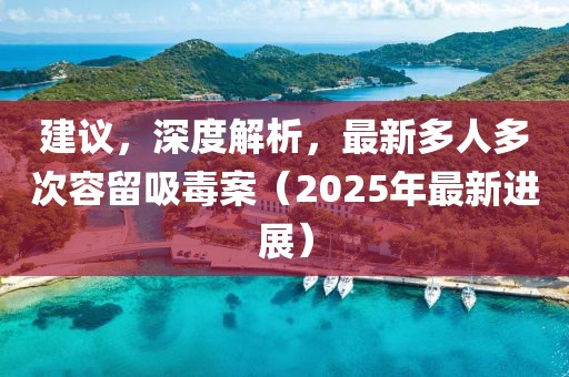 建議，深度解析，最新多人多次容留吸毒案（2025年最新進展）