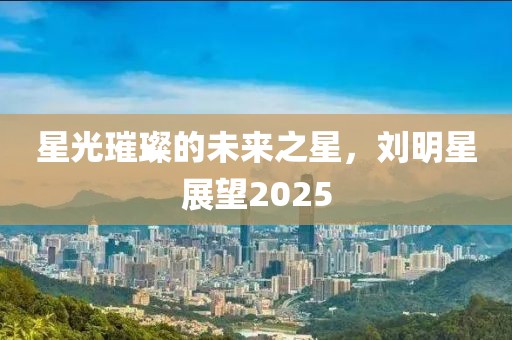 星光璀璨的未來之星，劉明星展望2025