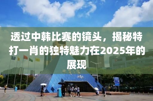 透過中韓比賽的鏡頭，揭秘特打一肖的獨特魅力在2025年的展現(xiàn)