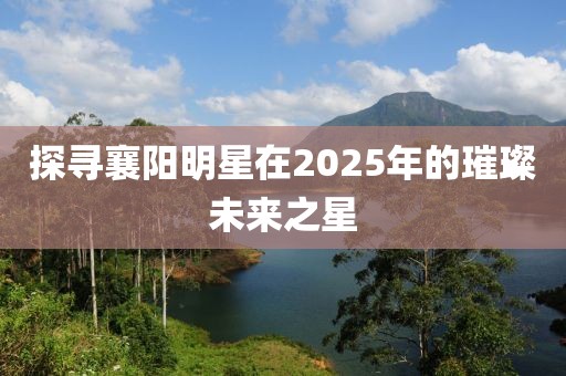 探尋襄陽明星在2025年的璀璨未來之星