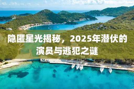 隱匿星光揭秘，2025年潛伏的演員與逃犯之謎