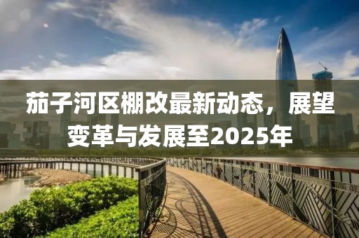 茄子河區(qū)棚改最新動(dòng)態(tài)，展望變革與發(fā)展至2025年