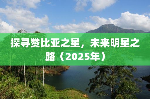 探尋贊比亞之星，未來明星之路（2025年）