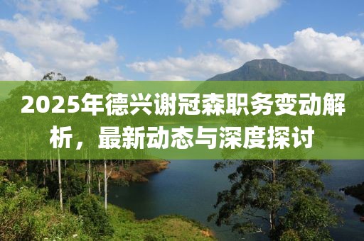 2025年德興謝冠森職務變動解析，最新動態(tài)與深度探討