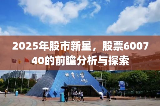 2025年股市新星，股票600740的前瞻分析與探索