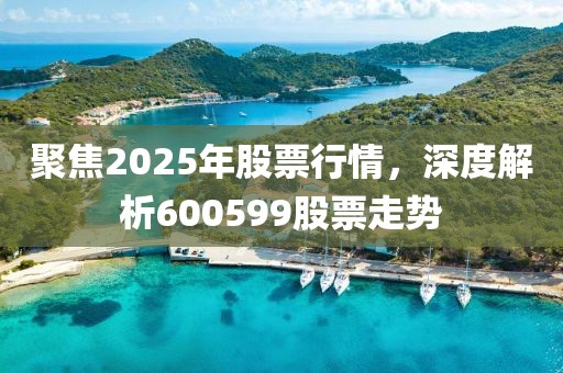 聚焦2025年股票行情，深度解析600599股票走勢