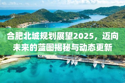 合肥北城規(guī)劃展望2025，邁向未來的藍圖揭秘與動態(tài)更新