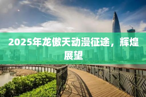 2025年龍傲天動漫征途，輝煌展望