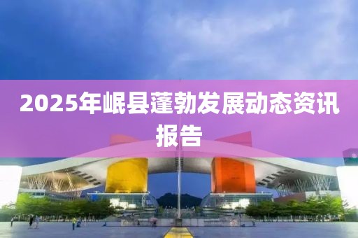 2025年岷縣蓬勃發(fā)展動態(tài)資訊報告
