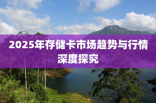 2025年存儲卡市場趨勢與行情深度探究