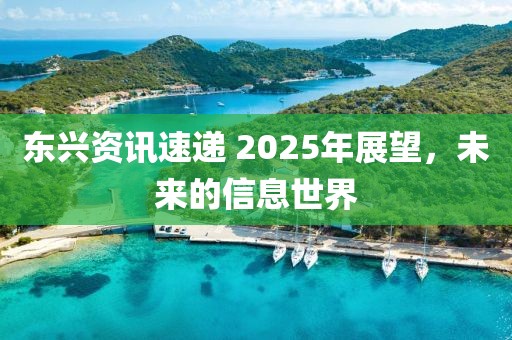 東興資訊速遞 2025年展望，未來的信息世界