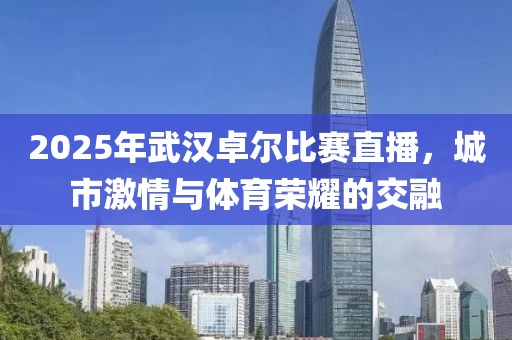 2025年武漢卓爾比賽直播，城市激情與體育榮耀的交融