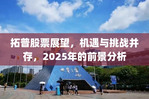 拓普股票展望，機遇與挑戰(zhàn)并存，2025年的前景分析