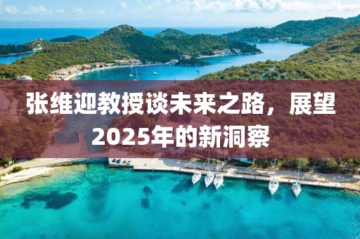 張維迎教授談未來(lái)之路，展望2025年的新洞察
