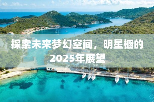 探索未來(lái)夢(mèng)幻空間，明星櫥的2025年展望