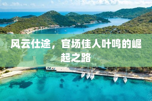 風(fēng)云仕途，官場(chǎng)佳人葉鳴的崛起之路