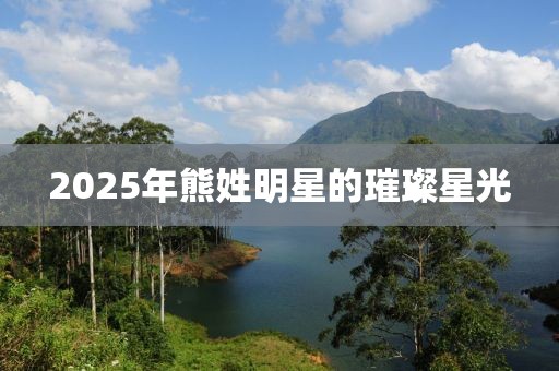 2025年熊姓明星的璀璨星光