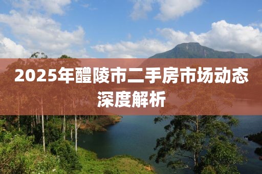 2025年醴陵市二手房市場動態(tài)深度解析