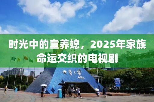 時(shí)光中的童養(yǎng)媳，2025年家族命運(yùn)交織的電視劇