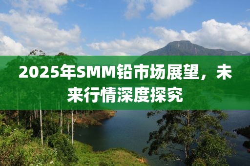 2025年SMM鉛市場(chǎng)展望，未來行情深度探究