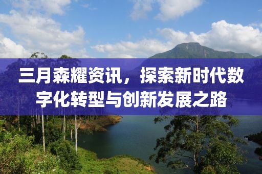 三月森耀資訊，探索新時(shí)代數(shù)字化轉(zhuǎn)型與創(chuàng)新發(fā)展之路