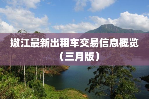 嫩江最新出租車交易信息概覽（三月版）