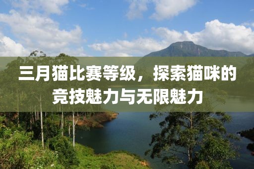 三月貓比賽等級，探索貓咪的競技魅力與無限魅力