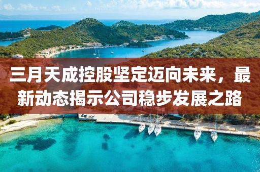 三月天成控股堅定邁向未來，最新動態(tài)揭示公司穩(wěn)步發(fā)展之路