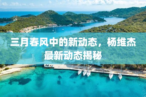三月春風(fēng)中的新動態(tài)，楊維杰最新動態(tài)揭秘