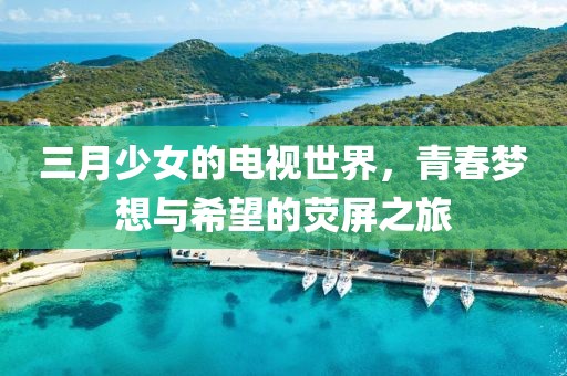 三月少女的電視世界，青春夢(mèng)想與希望的熒屏之旅