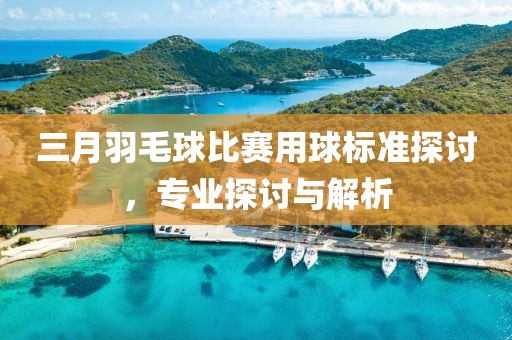 三月羽毛球比賽用球標(biāo)準(zhǔn)探討，專業(yè)探討與解析