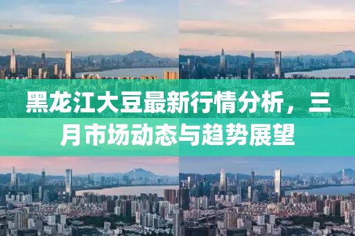 黑龍江大豆最新行情分析，三月市場動態(tài)與趨勢展望