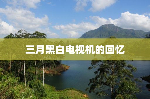 三月黑白電視機的回憶