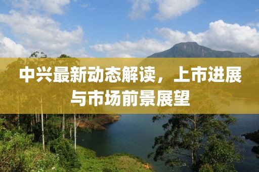 中興最新動(dòng)態(tài)解讀，上市進(jìn)展與市場(chǎng)前景展望